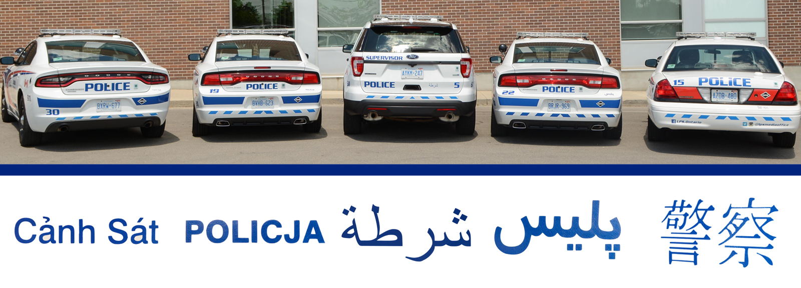 LPS cruisers showing various languages that are represented in London